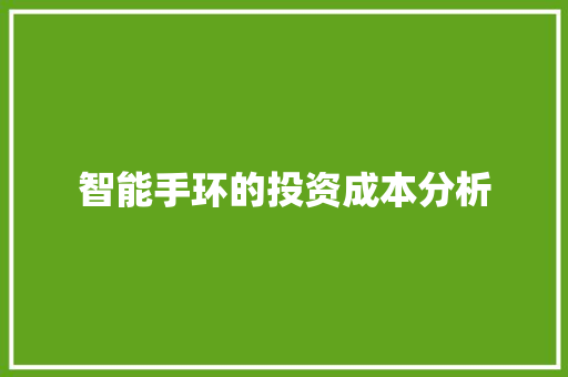 智能手环的投资成本分析  第1张