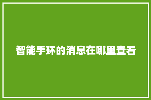 智能手环的消息在哪里查看