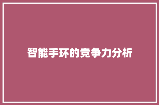 智能手环的竞争力分析  第1张