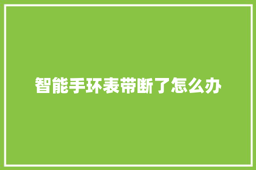 智能手环表带断了怎么办