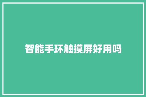 智能手环触摸屏好用吗