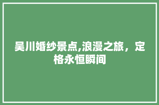 吴川婚纱景点,浪漫之旅，定格永恒瞬间