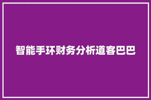 智能手环财务分析道客巴巴