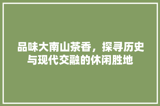 品味大南山茶香，探寻历史与现代交融的休闲胜地