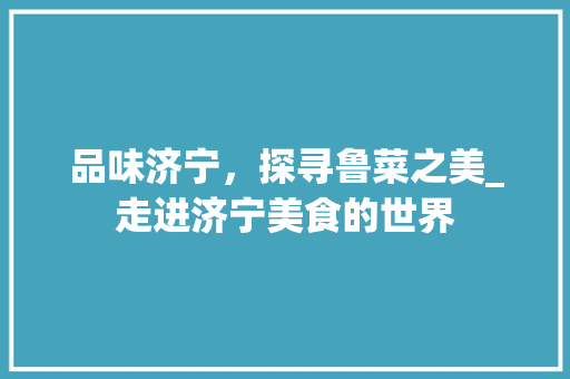 品味济宁，探寻鲁菜之美_走进济宁美食的世界