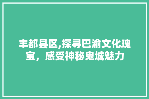 丰都县区,探寻巴渝文化瑰宝，感受神秘鬼城魅力