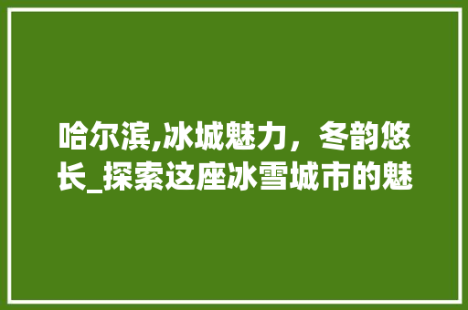 哈尔滨,冰城魅力，冬韵悠长_探索这座冰雪城市的魅力所在