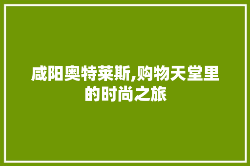 咸阳奥特莱斯,购物天堂里的时尚之旅  第1张