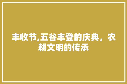 丰收节,五谷丰登的庆典，农耕文明的传承