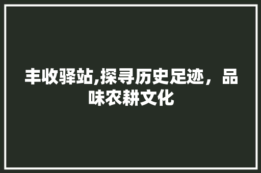 丰收驿站,探寻历史足迹，品味农耕文化