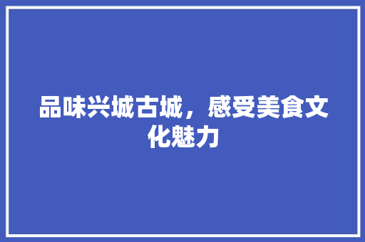 品味兴城古城，感受美食文化魅力