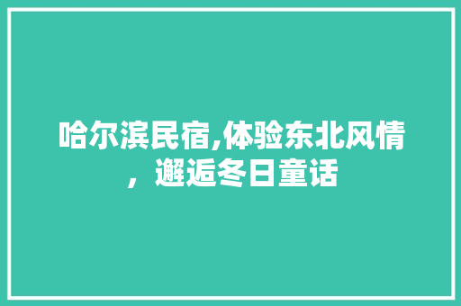 哈尔滨民宿,体验东北风情，邂逅冬日童话