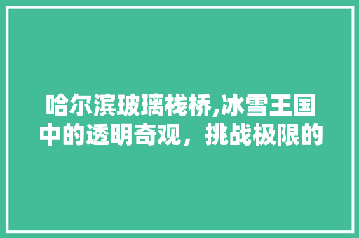 哈尔滨玻璃栈桥,冰雪王国中的透明奇观，挑战极限的视觉盛宴