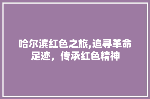 哈尔滨红色之旅,追寻革命足迹，传承红色精神