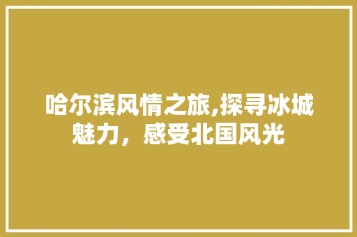 哈尔滨风情之旅,探寻冰城魅力，感受北国风光