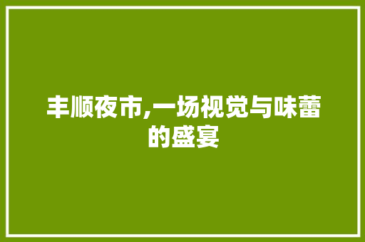 丰顺夜市,一场视觉与味蕾的盛宴  第1张