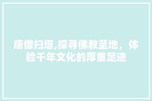 唐僧扫塔,探寻佛教圣地，体验千年文化的厚重足迹