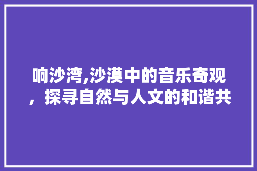 响沙湾,沙漠中的音乐奇观，探寻自然与人文的和谐共鸣