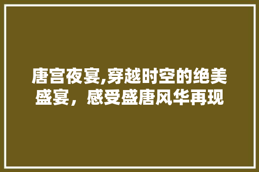 唐宫夜宴,穿越时空的绝美盛宴，感受盛唐风华再现