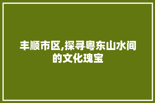 丰顺市区,探寻粤东山水间的文化瑰宝