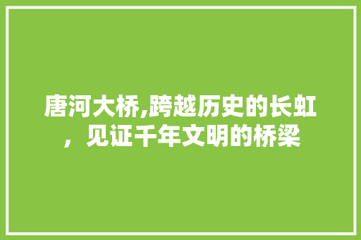 唐河大桥,跨越历史的长虹，见证千年文明的桥梁