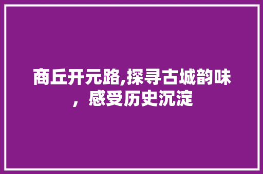 商丘开元路,探寻古城韵味，感受历史沉淀