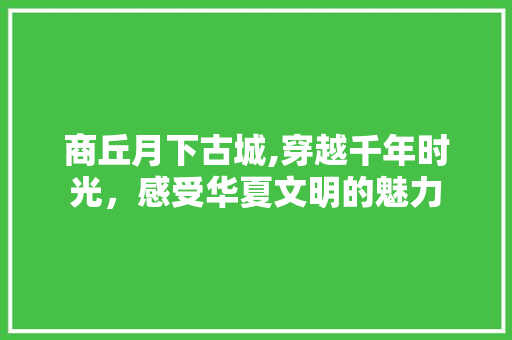 商丘月下古城,穿越千年时光，感受华夏文明的魅力