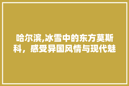 哈尔滨,冰雪中的东方莫斯科，感受异国风情与现代魅力的交融