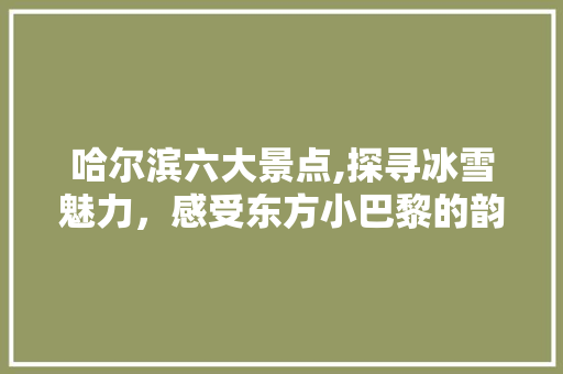 哈尔滨六大景点,探寻冰雪魅力，感受东方小巴黎的韵味