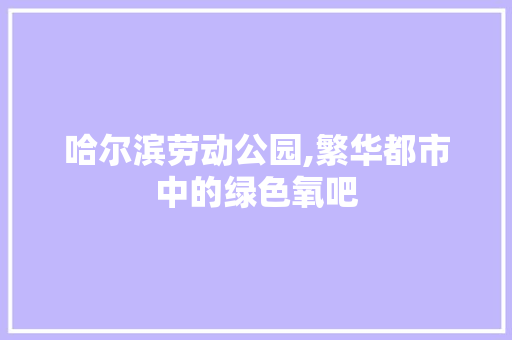 哈尔滨劳动公园,繁华都市中的绿色氧吧