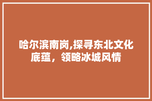 哈尔滨南岗,探寻东北文化底蕴，领略冰城风情