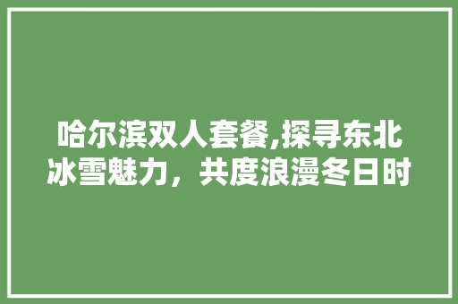 哈尔滨双人套餐,探寻东北冰雪魅力，共度浪漫冬日时光