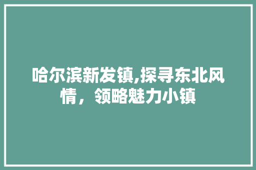 哈尔滨新发镇,探寻东北风情，领略魅力小镇