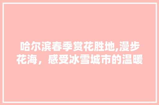 哈尔滨春季赏花胜地,漫步花海，感受冰雪城市的温暖魅力