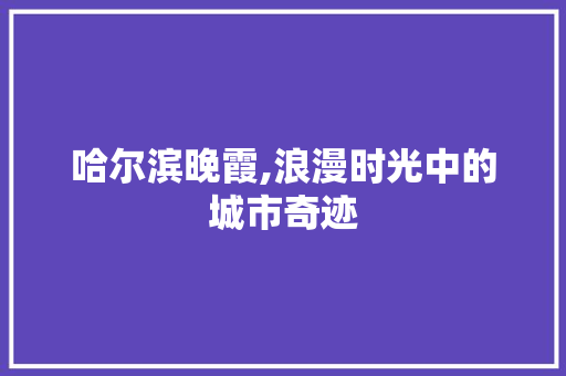 哈尔滨晚霞,浪漫时光中的城市奇迹