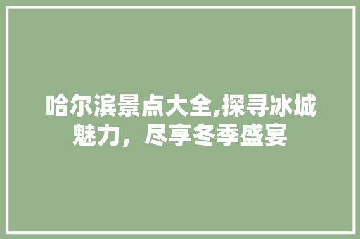 哈尔滨景点大全,探寻冰城魅力，尽享冬季盛宴