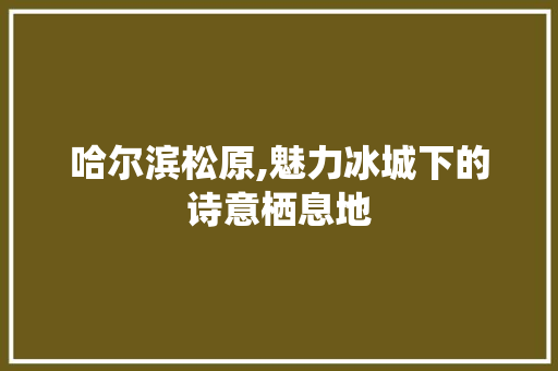 哈尔滨松原,魅力冰城下的诗意栖息地