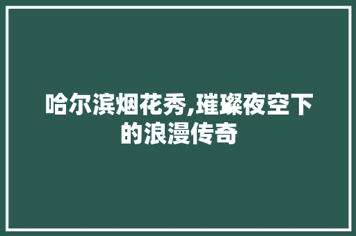 哈尔滨烟花秀,璀璨夜空下的浪漫传奇