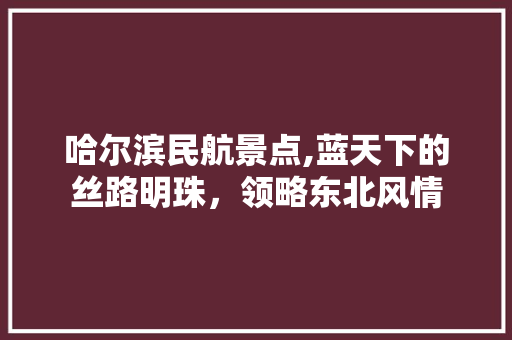 哈尔滨民航景点,蓝天下的丝路明珠，领略东北风情