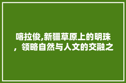 喀拉俊,新疆草原上的明珠，领略自然与人文的交融之美