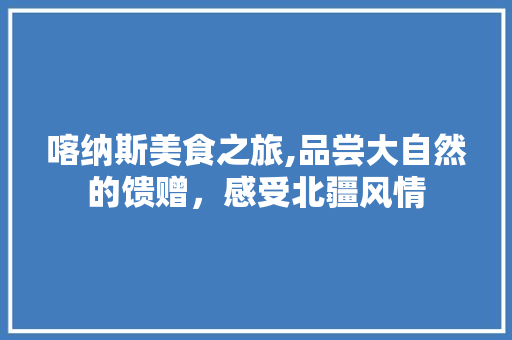 喀纳斯美食之旅,品尝大自然的馈赠，感受北疆风情