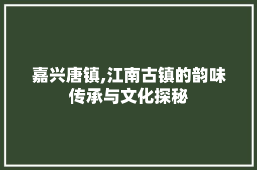 嘉兴唐镇,江南古镇的韵味传承与文化探秘