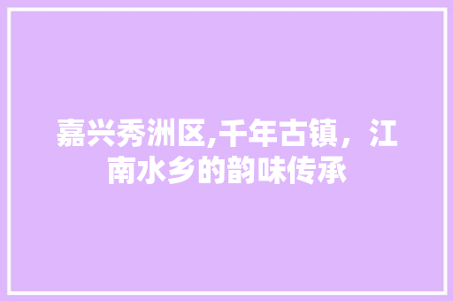 嘉兴秀洲区,千年古镇，江南水乡的韵味传承