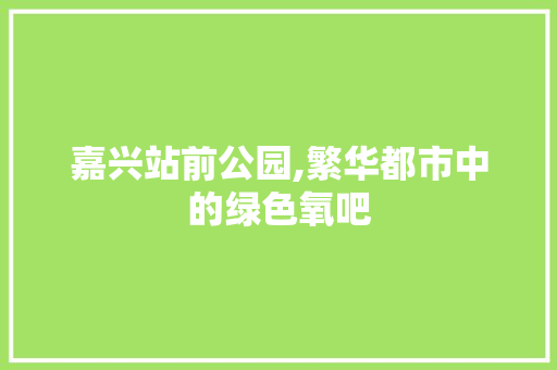 嘉兴站前公园,繁华都市中的绿色氧吧