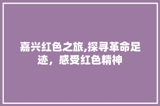 嘉兴红色之旅,探寻革命足迹，感受红色精神