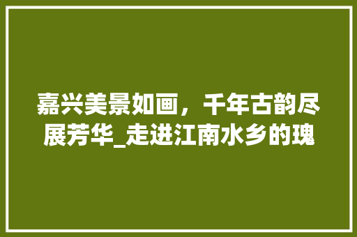 嘉兴美景如画，千年古韵尽展芳华_走进江南水乡的瑰宝