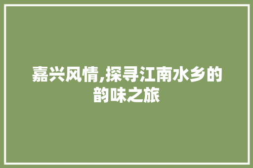 嘉兴风情,探寻江南水乡的韵味之旅