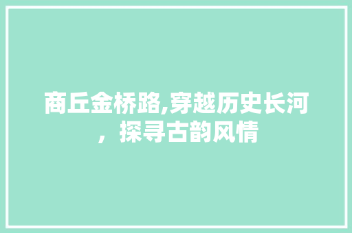 商丘金桥路,穿越历史长河，探寻古韵风情