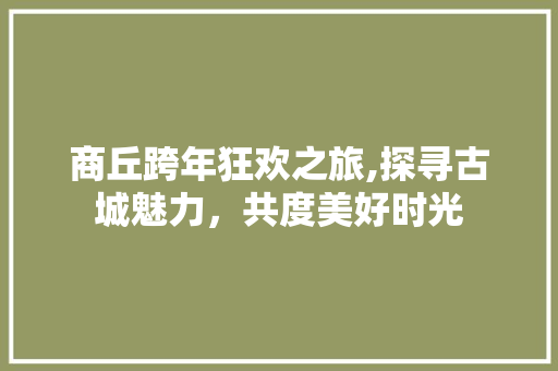 商丘跨年狂欢之旅,探寻古城魅力，共度美好时光