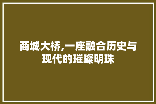 商城大桥,一座融合历史与现代的璀璨明珠